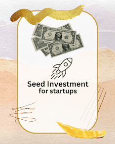 What is Seed investment